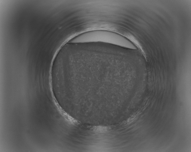 X0000071901088200608041336