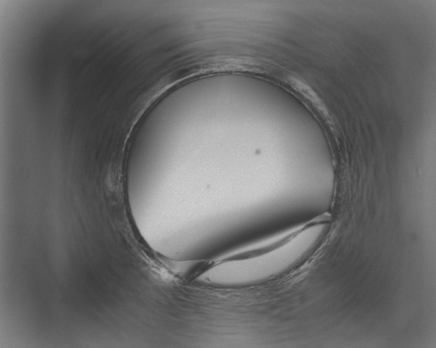 X0000071901089200608041336