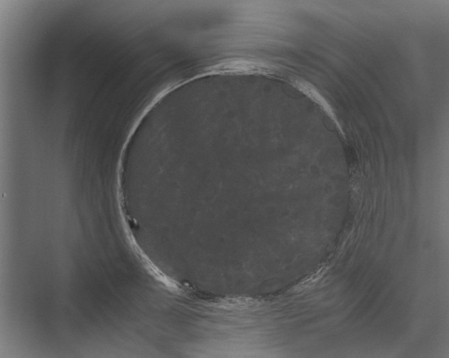 X0000071901091200608041336