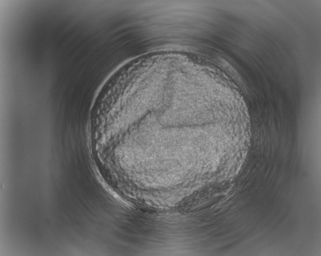 X0000071901092200608041336