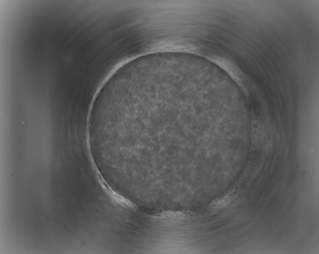 X0000071901094200608041336