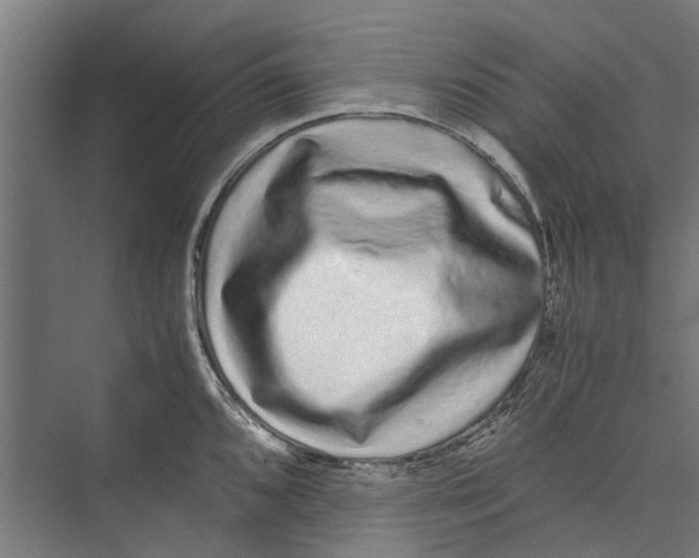 X0000071901096200608041336