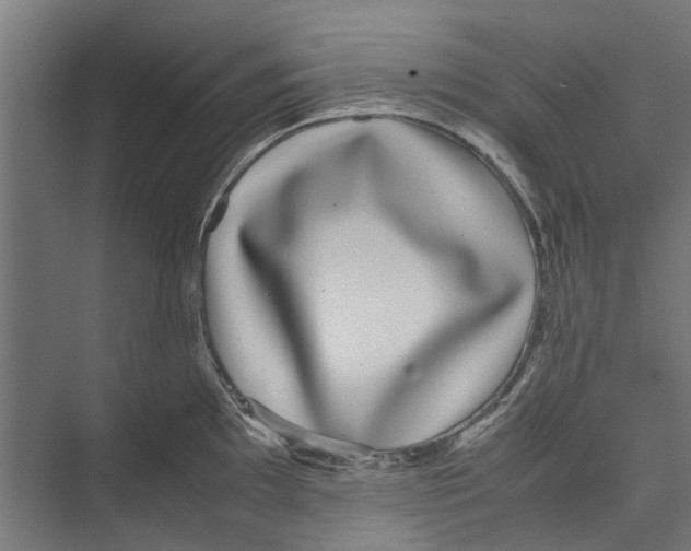 X0000071901097200608041336