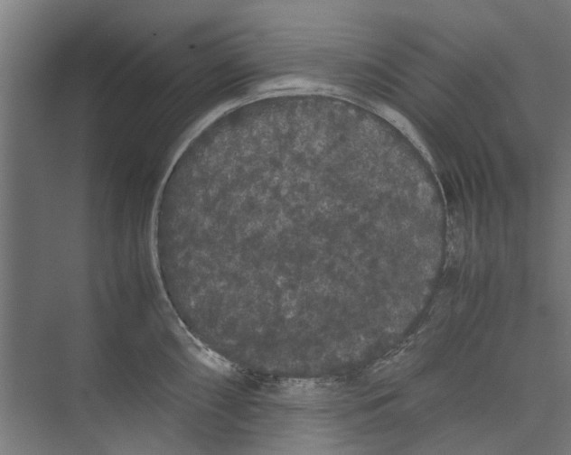 X0000071901098200608041336