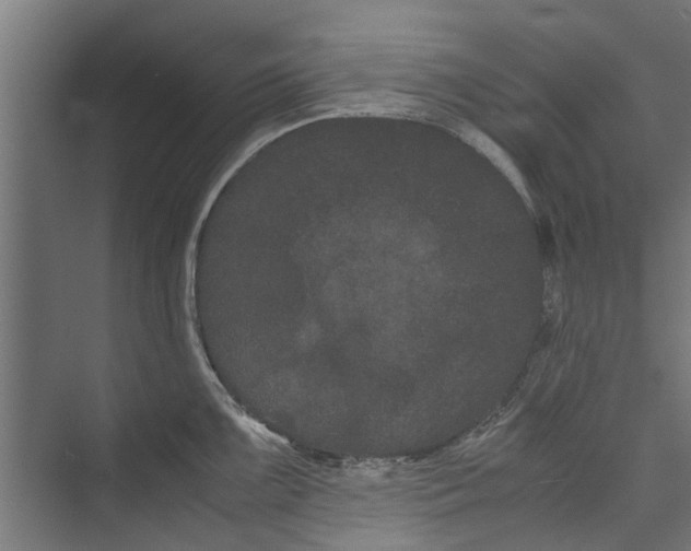 X0000071901099200608041336