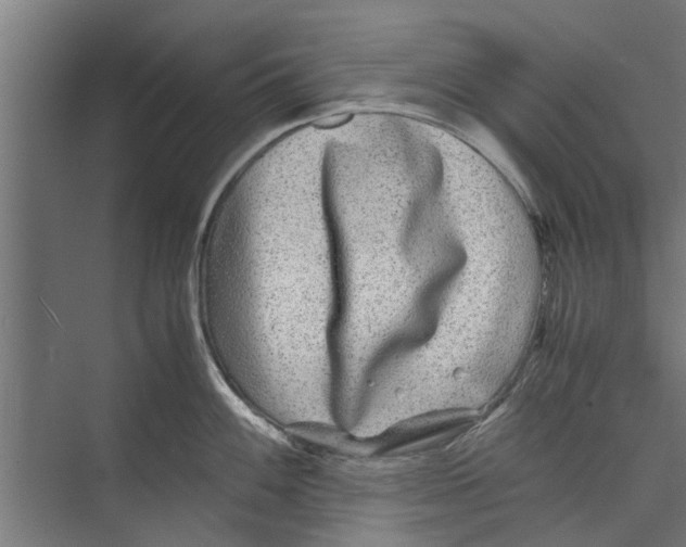 X0000071901100200608041336