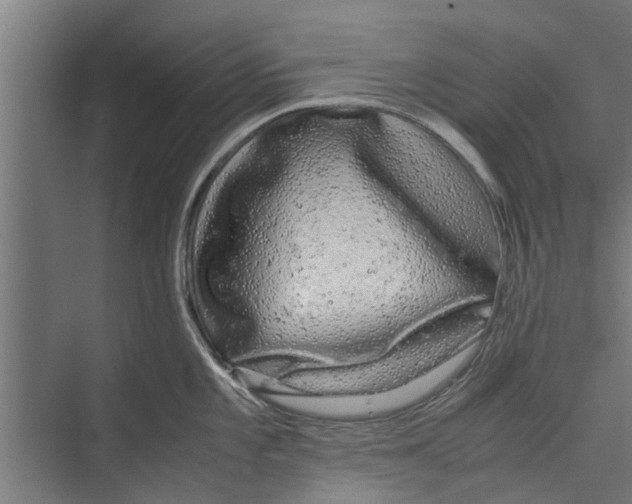 X0000071901101200608041336