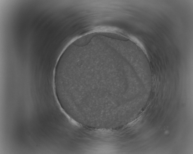 X0000071901103200608041336