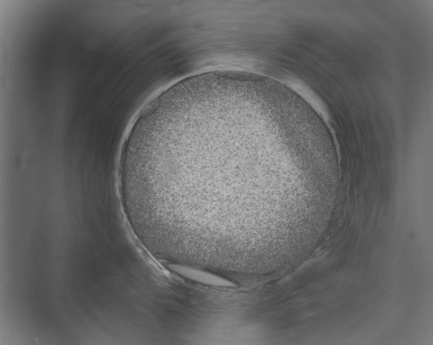 X0000071901104200608041336