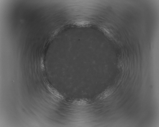 X0000071901106200608041335