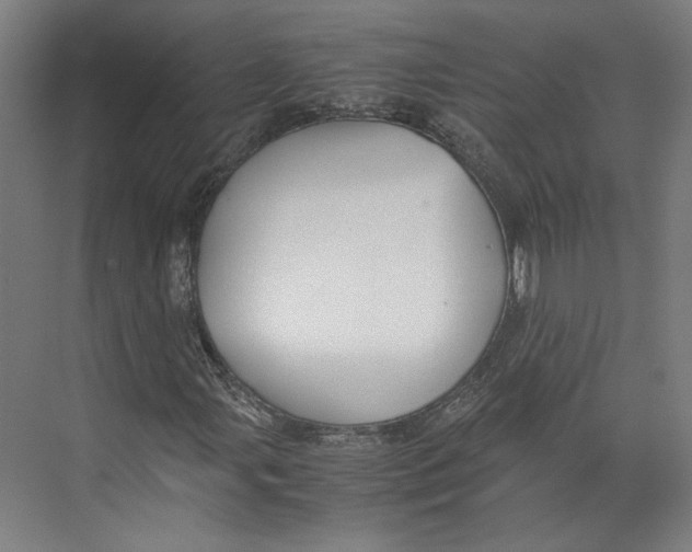 X0000071901107200608041335