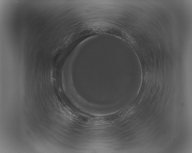 X0000071901108200608041335