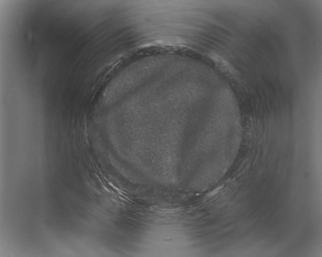 X0000071901110200608041335