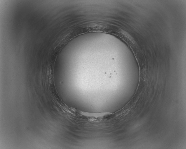 X0000071901111200608041335