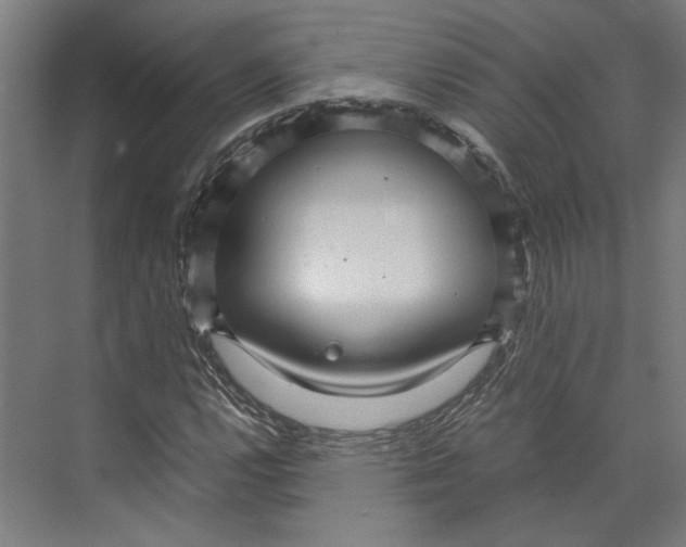 X0000071901112200608041335