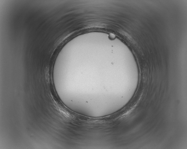 X0000071901113200608041336