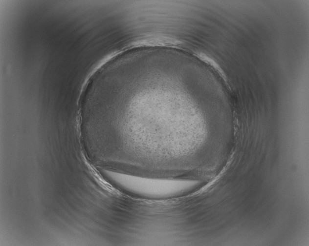 X0000071901114200608041336