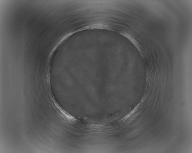 X0000071901115200608041336