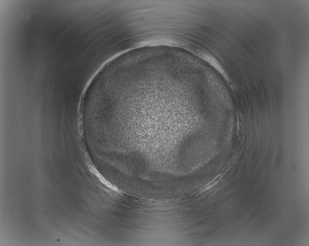 X0000071901116200608041336