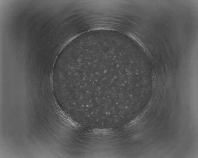 X0000071901121200608041336