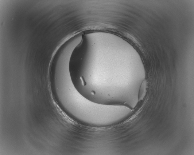 X0000071901122200608041336