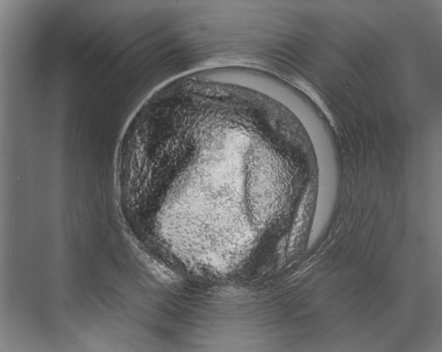 X0000071901124200608041336