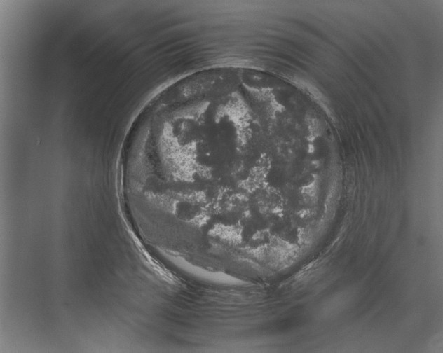 X0000071901125200608041336