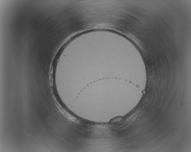 X0000071901126200608041336