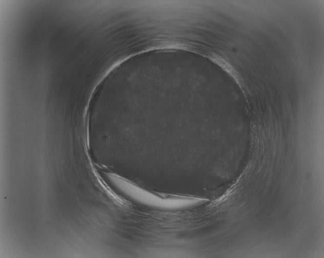 X0000071901127200608041336