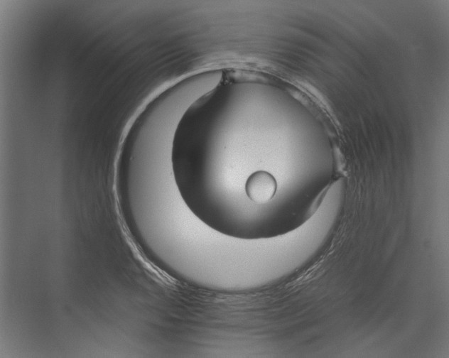 X0000071901128200608041336