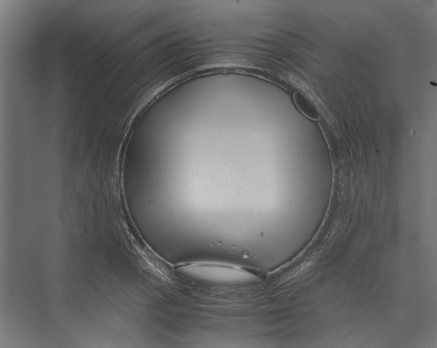 X0000071901129200608041336