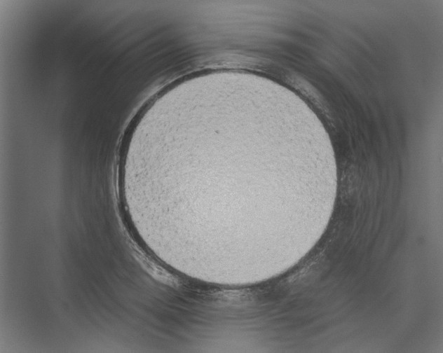 X0000071901130200608041336