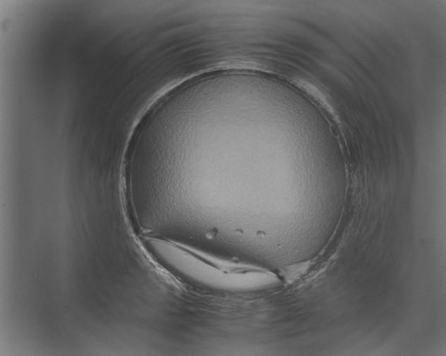 X0000071901133200608041336