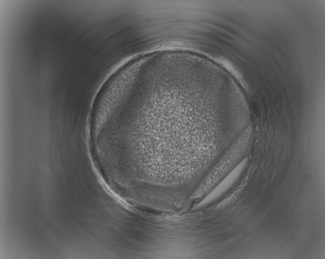 X0000071901134200608041336