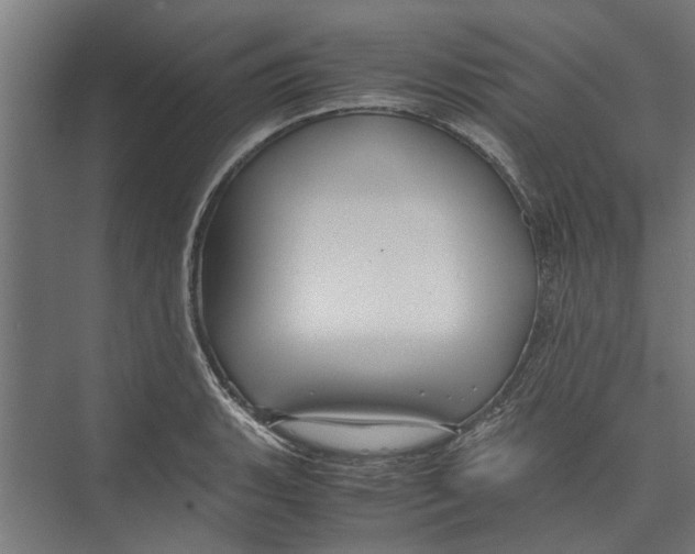 X0000071901135200608041336