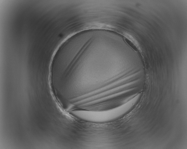 X0000071901136200608041336