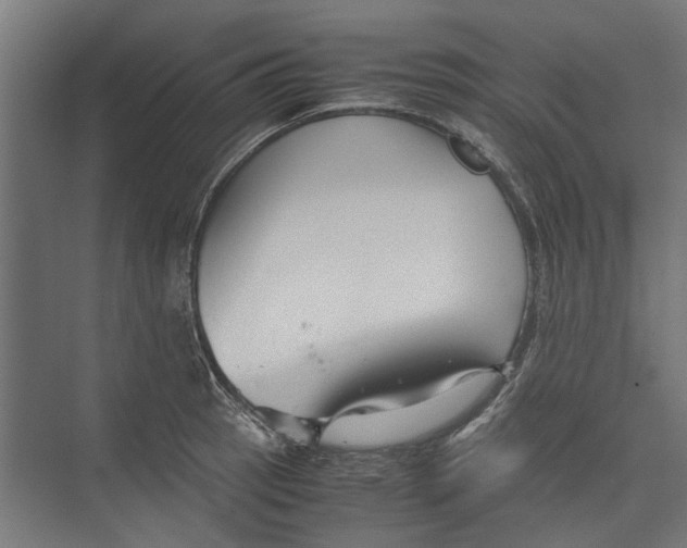 X0000071901137200608041336