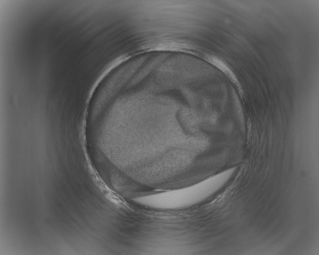 X0000071901138200608041336