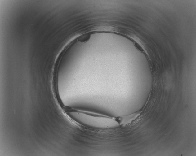 X0000071901139200608041336