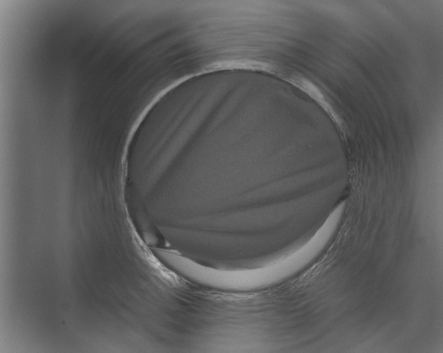 X0000071901140200608041336