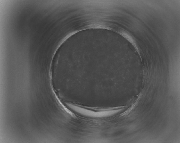 X0000071901141200608041336