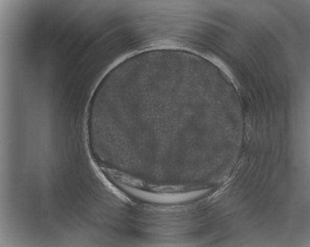 X0000071901142200608041336