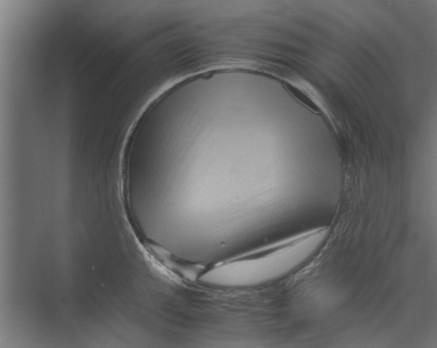 X0000071901143200608041336