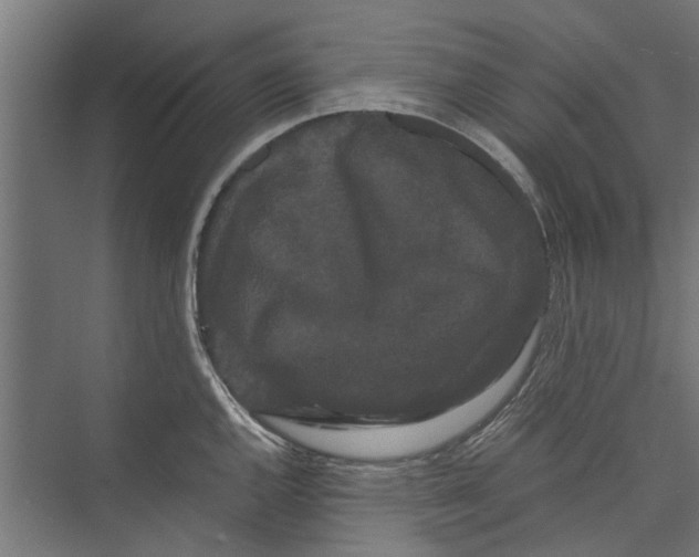 X0000071901144200608041336