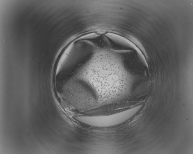 X0000071901146200608041336