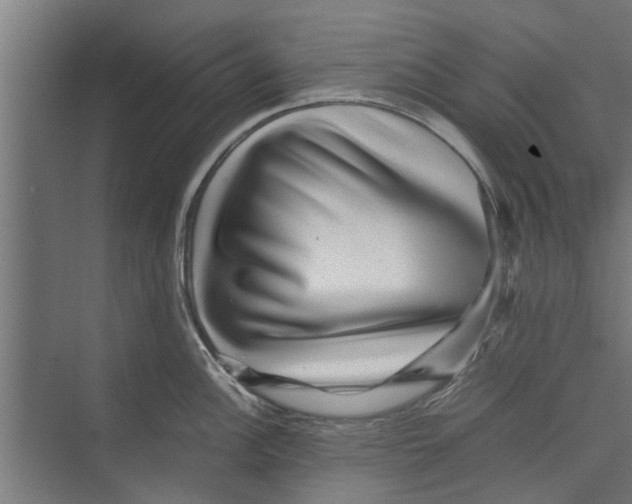 X0000071901148200608041336