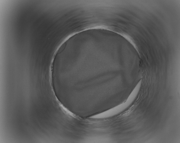 X0000071901151200608041336