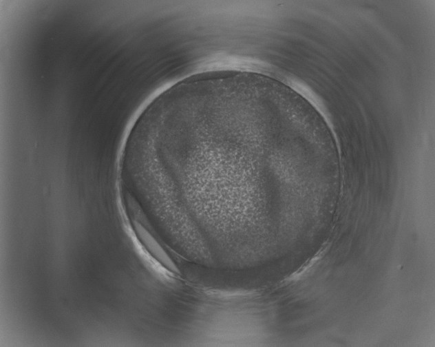 X0000071901152200608041336