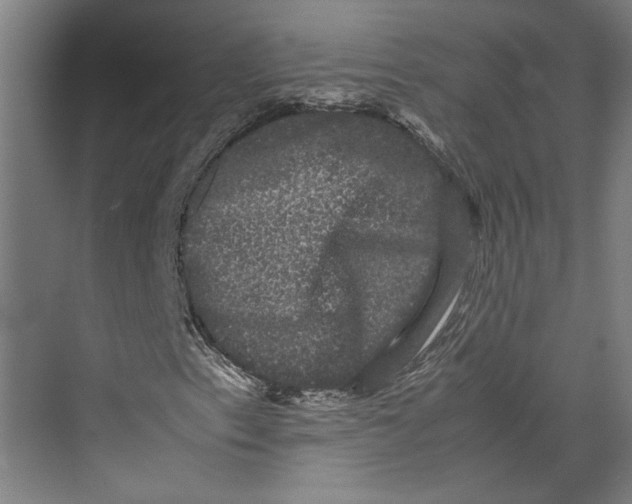 X0000071901153200608041335