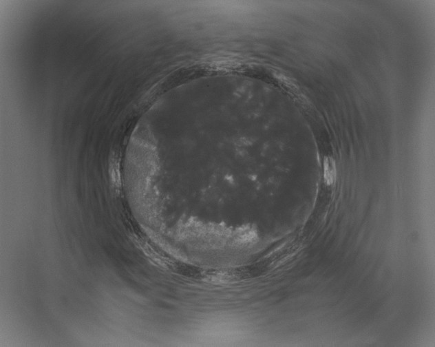 X0000071901155200608041335